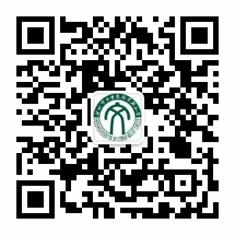 图片10.png
