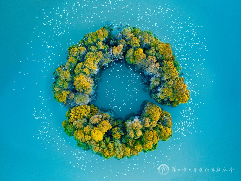 袁泉《环绕》纪录类.jpg